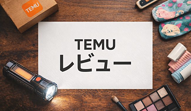 TEMUで買ってよかったものと失敗しやすいものを踏まえた結論パートの補足画像